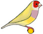 RH PB Yellow Hen
